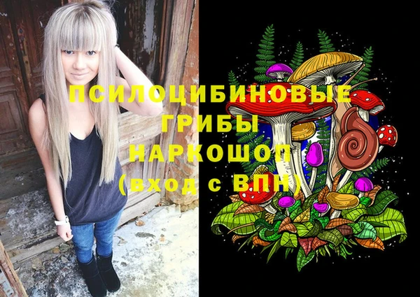 скорость Алзамай