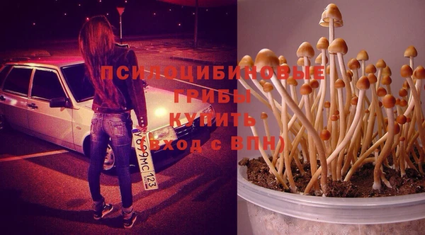 МДПВ Ростов
